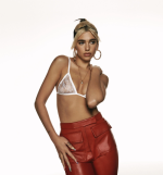 DL (3).png